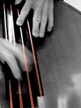 bassist